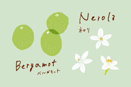 ベルガモットとネロリのイラスト