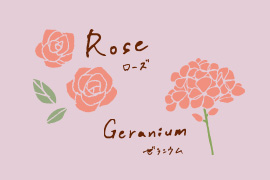ゼラニウムとローズのイラスト