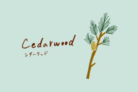 シダーウッドのイラスト